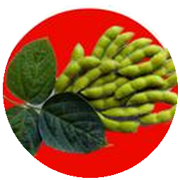 L-Arginine